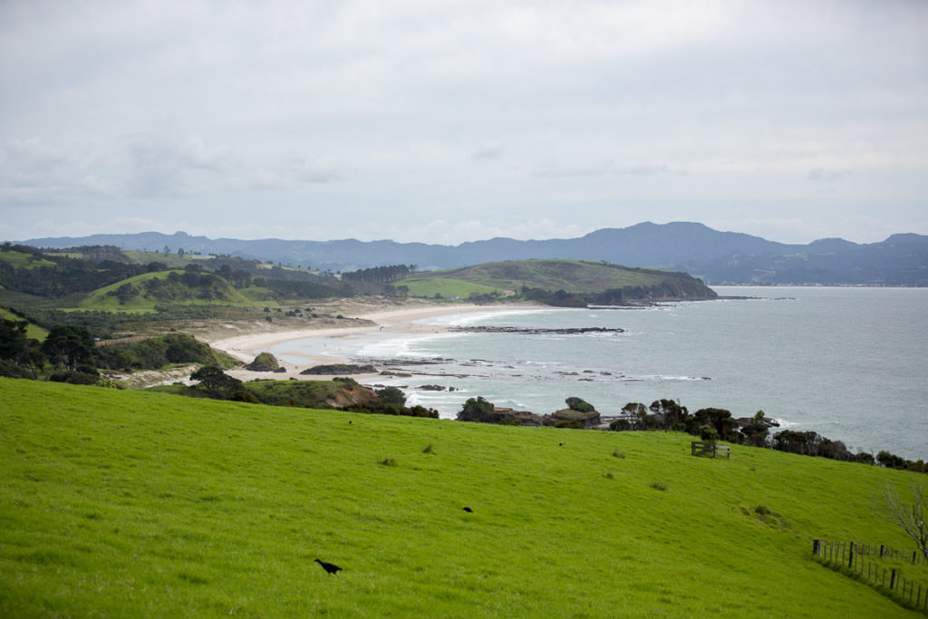 Tawharanui regional park