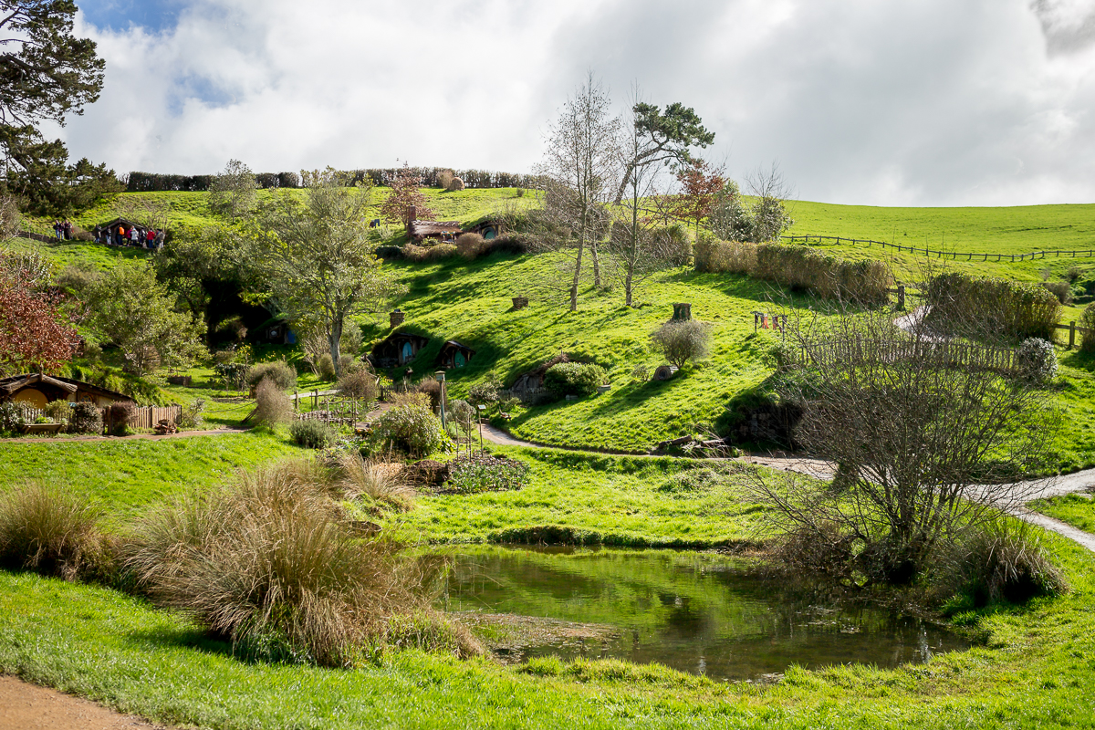 Overview over Hobbiton 