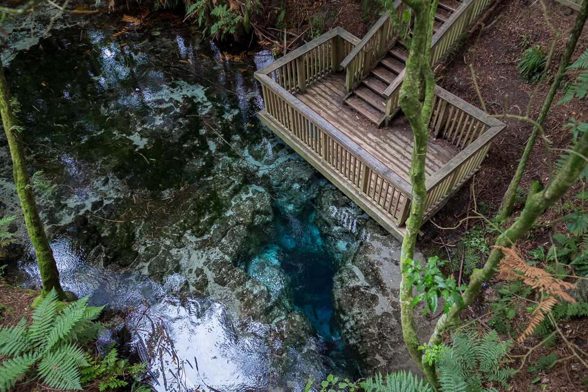 Hamurana Springs New Zealand