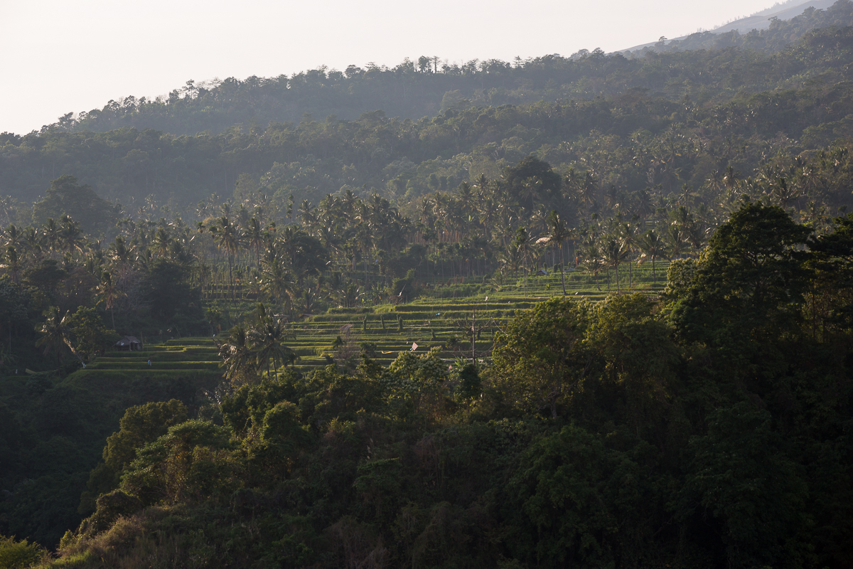 Rinjani Lodge, Lombok Indonesia 