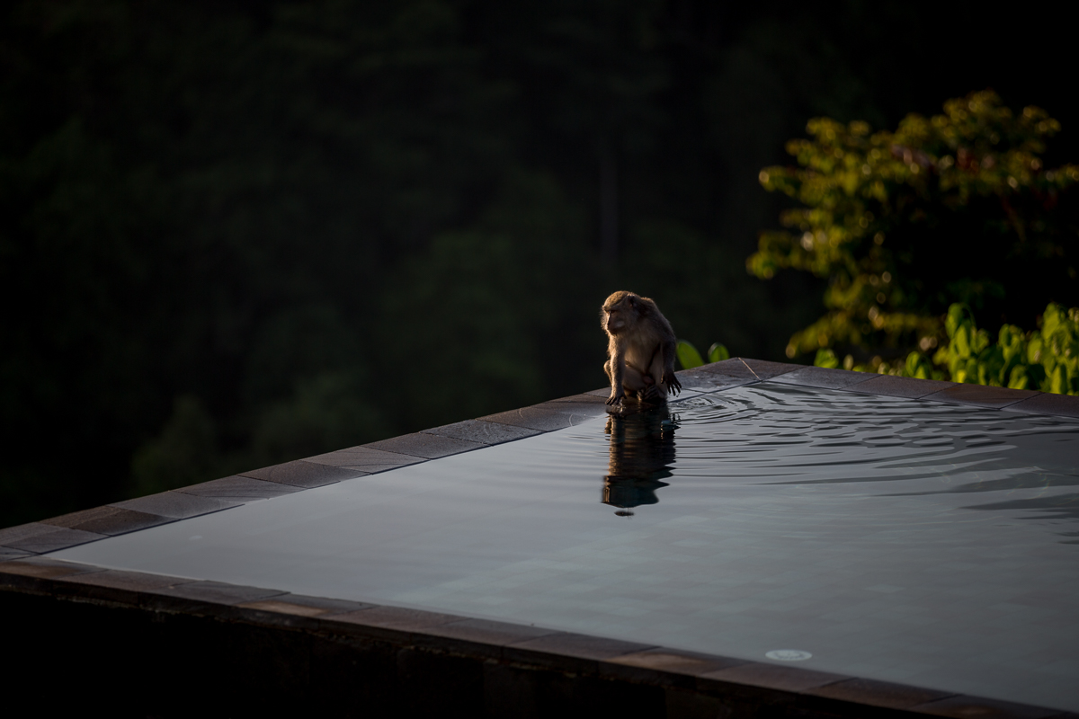 Rinjani Lodge, Lombok Indonesia 